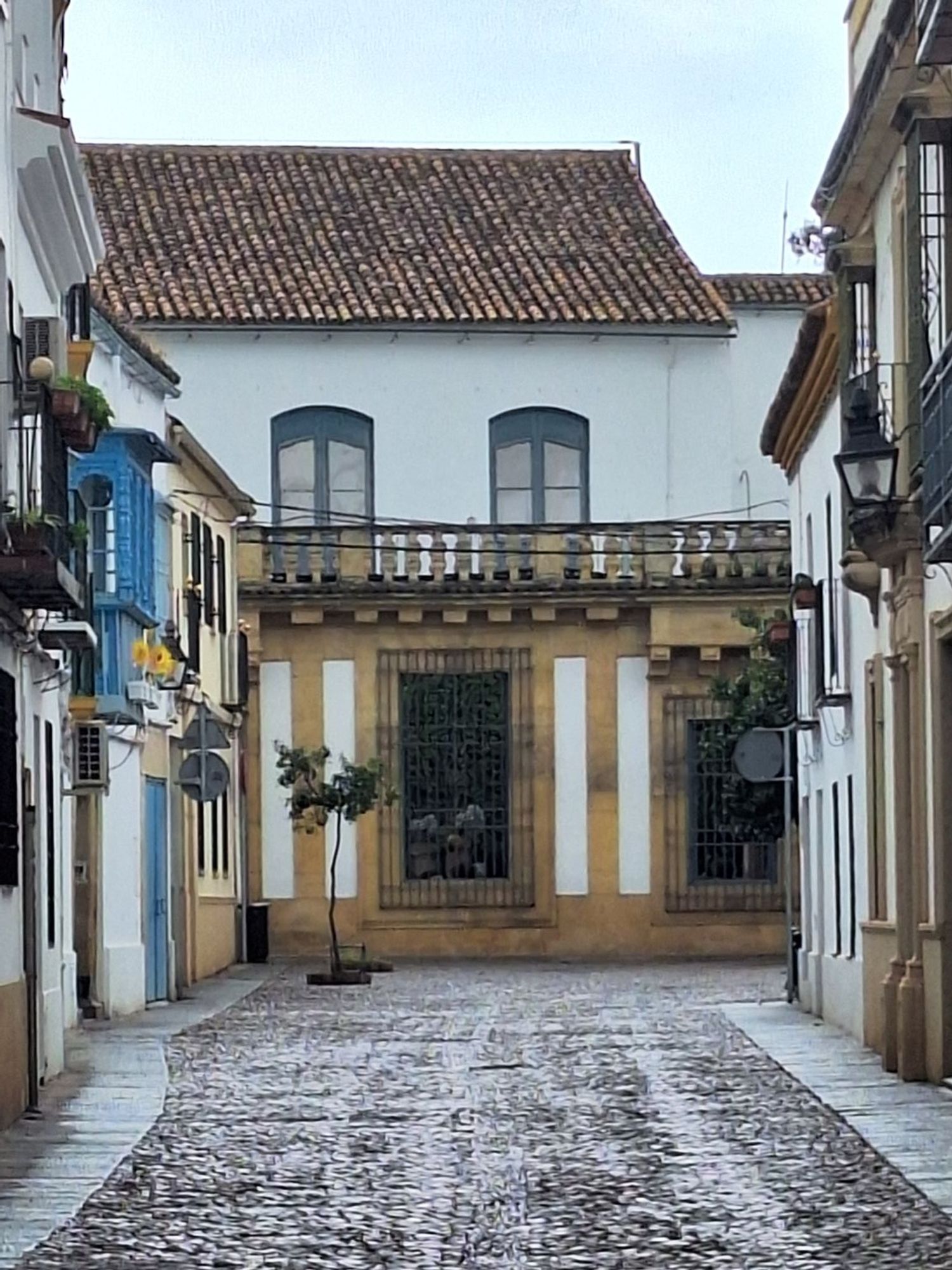 Piso en Calle Muñoz Capilla, 1, Casco Histórico - Ollerías - Marrubial - Foto 29
