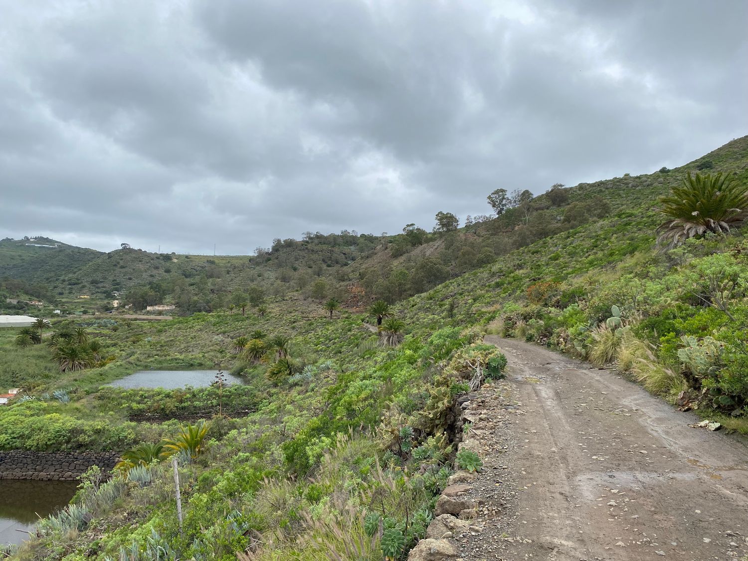 Chalet adosado en calle Teguise, 10 - Foto 24