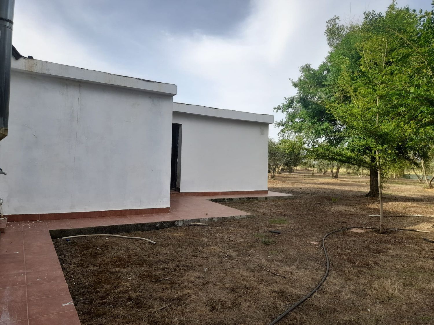 Casa rural en Camino Hacienta Miravet s/n - Foto 7