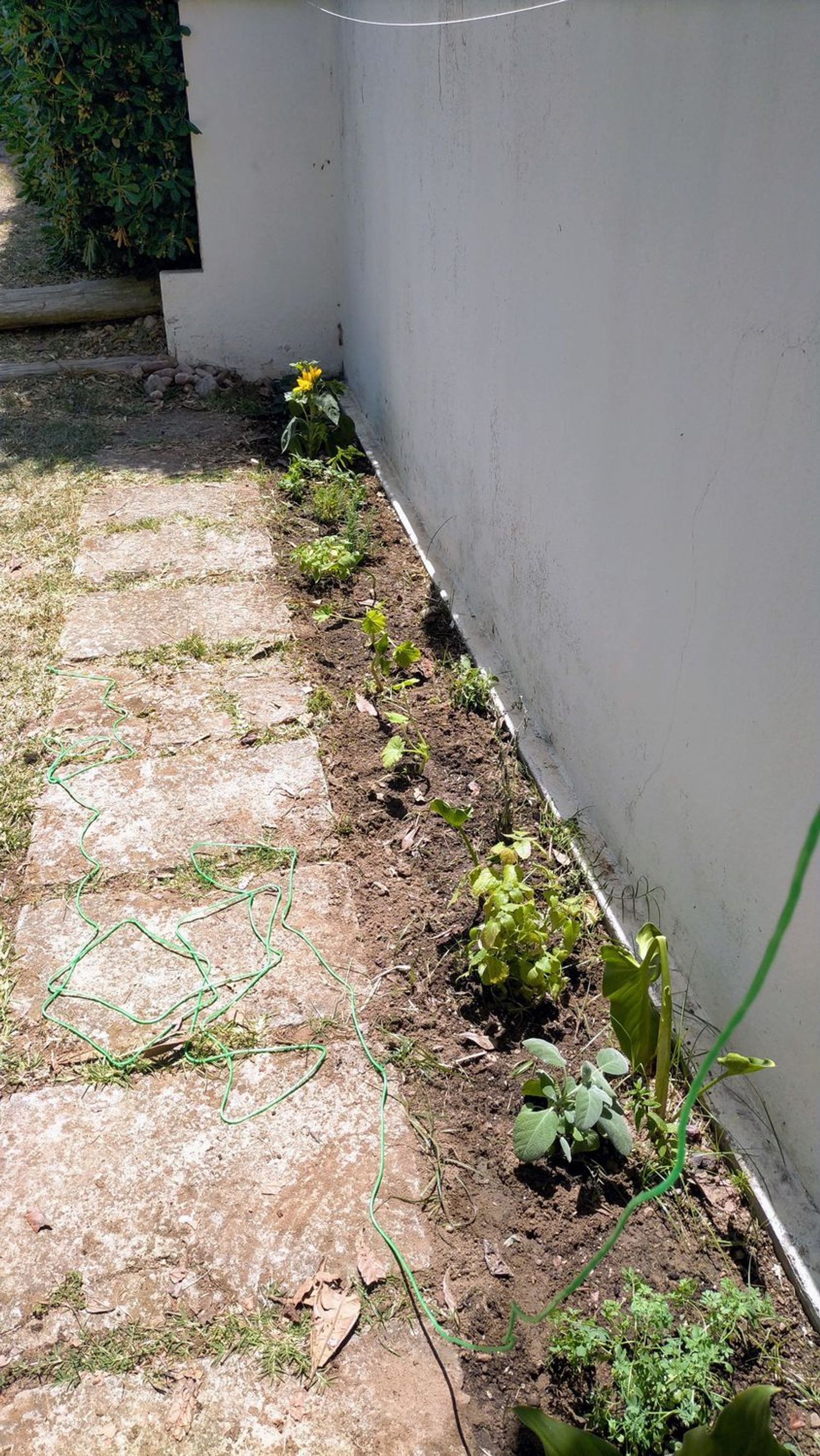 Piso en Passatge d'Artà, 2, Dalt Sant Joan-Plaça Eivissa - Foto 17