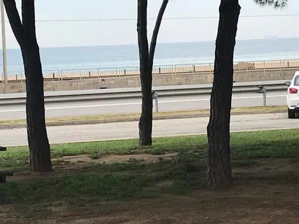 Piso en Calle Rafael de Casanova, 50, Can Pou - Camp de Mar, Can Pou - Camp de Mar - Foto 26