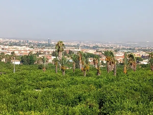 Finca rústica en calle Don Adrián, 1506 - Foto 13