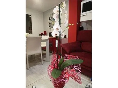 Ático en calle Isidoro Antillón, 109 - Foto 14