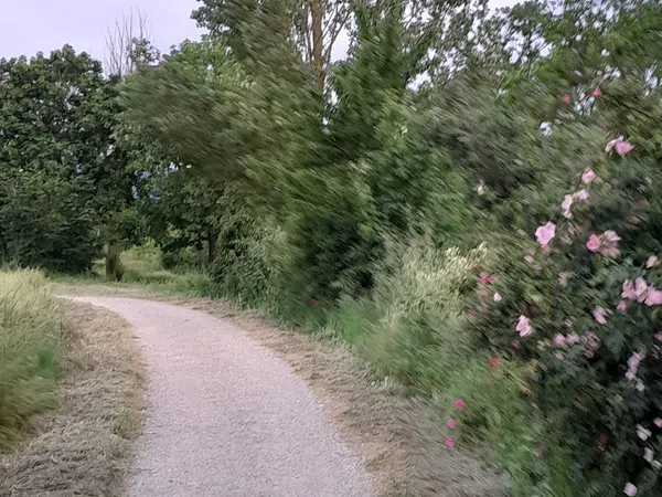 Piso en Los Miñones de Álava, 2 - Foto 11