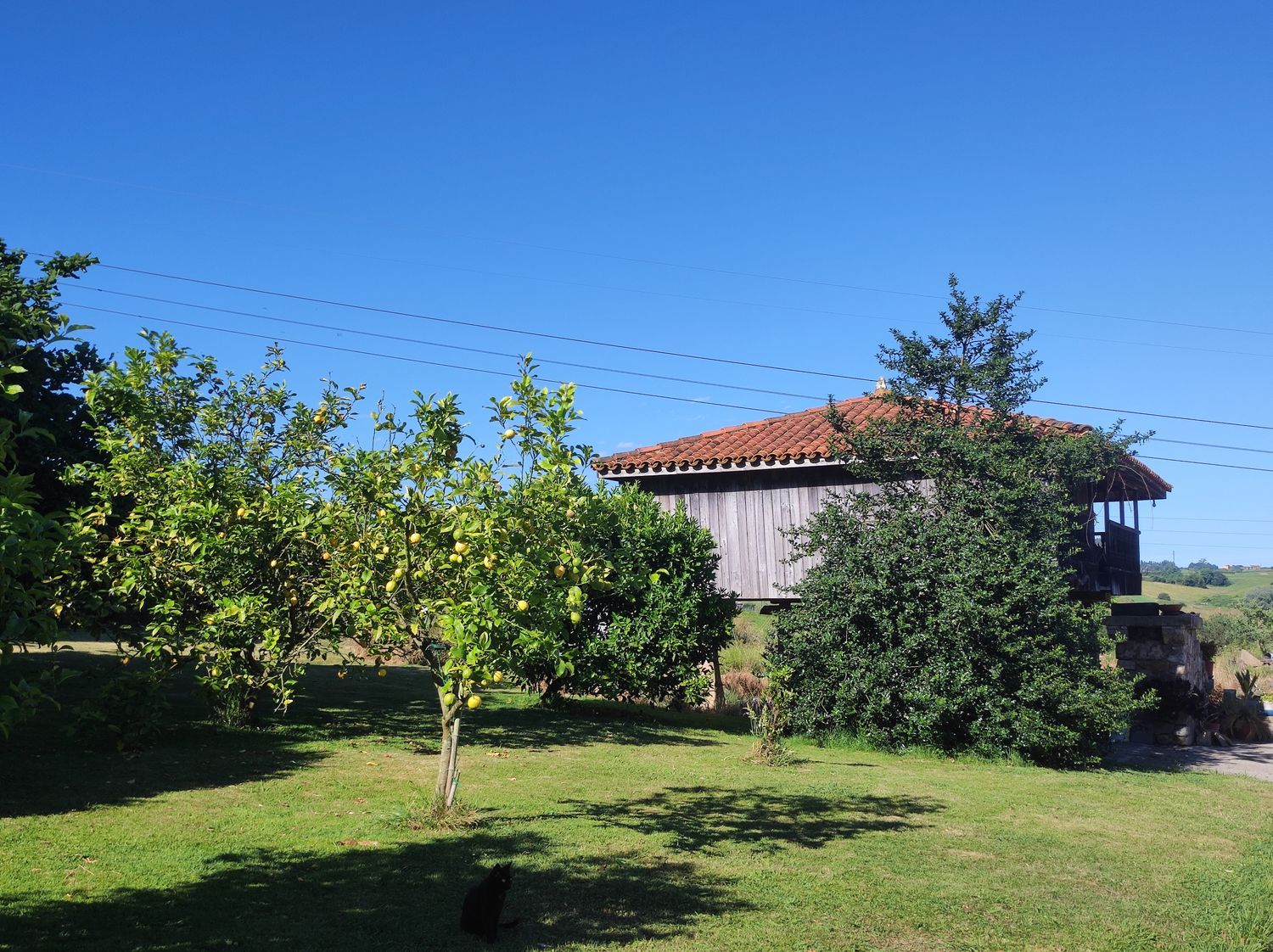 Casa o chalet independiente en Carretera de la Granda, 305, Bocines - Nembro - Cardo, Bocines - Nembro - Cardo - Foto 27