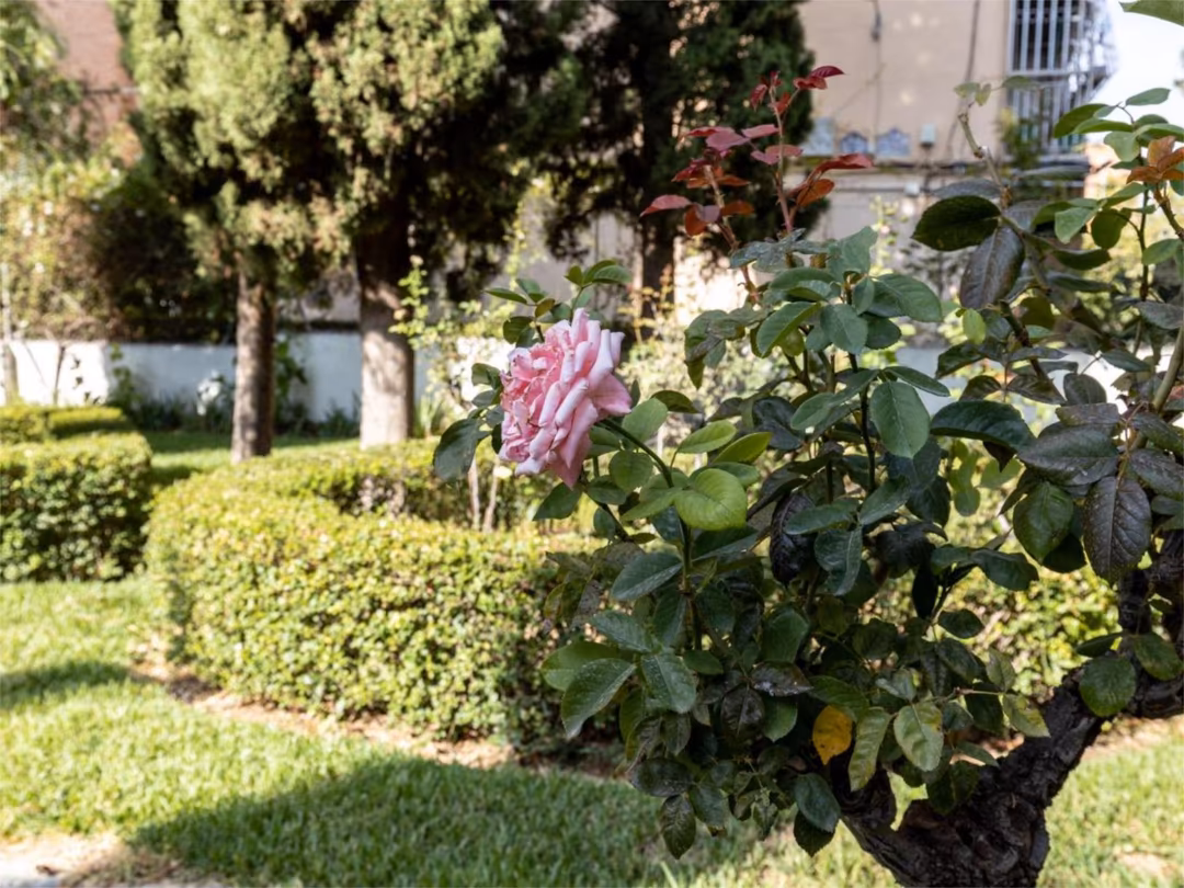 Piso en  Calle Luz Casanova 4 - Foto 30