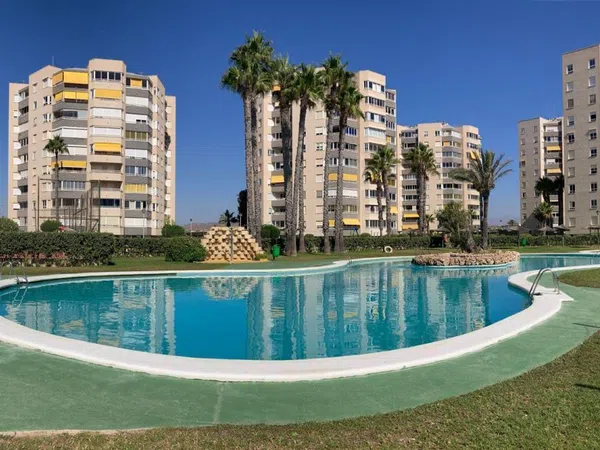 Piso en Calle Músico Antón Roch, El Palmeral-Urbanova-Tabarca - Foto 7
