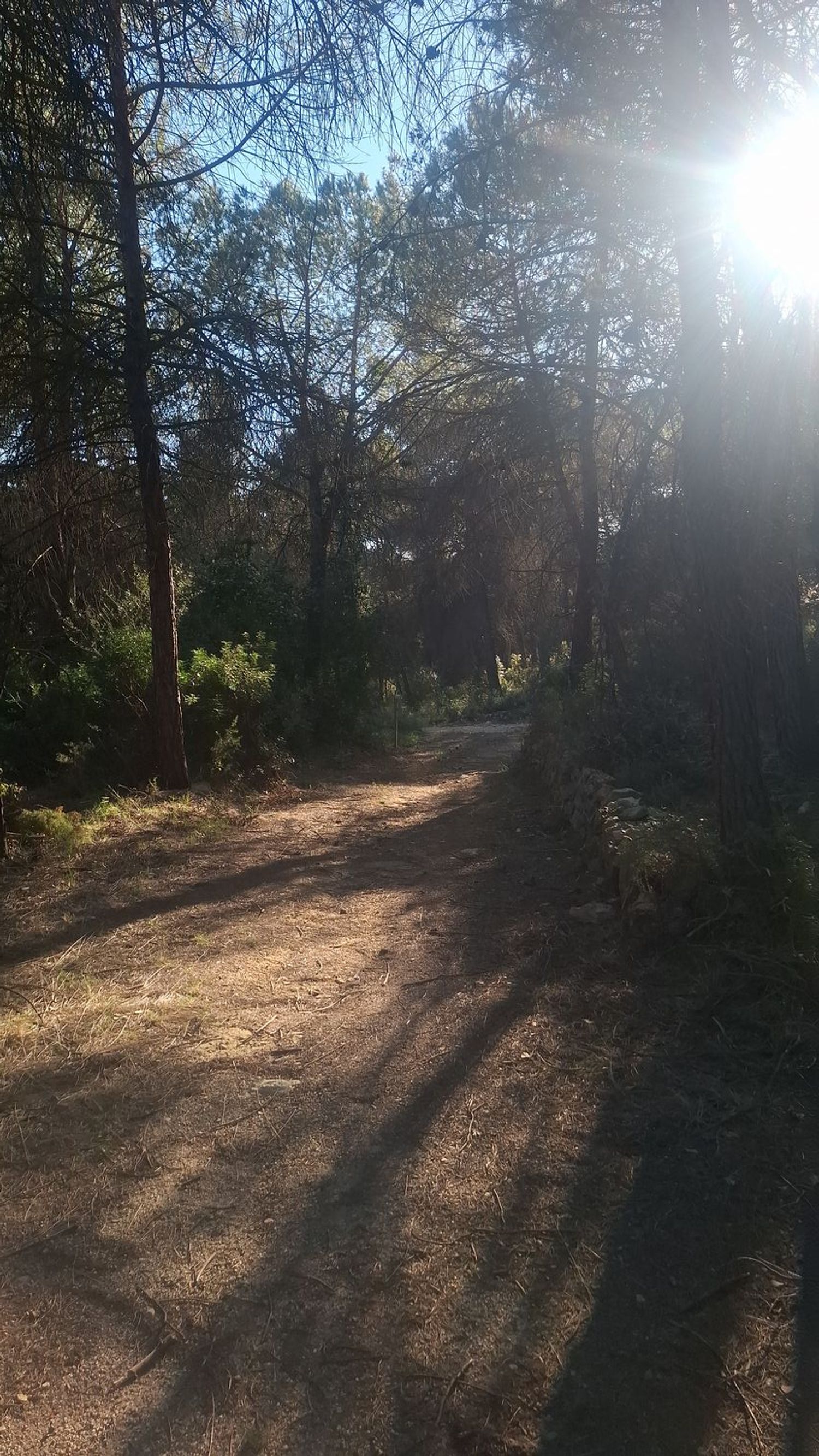 Finca rústica en Via Sense Nom s/n - Foto 5