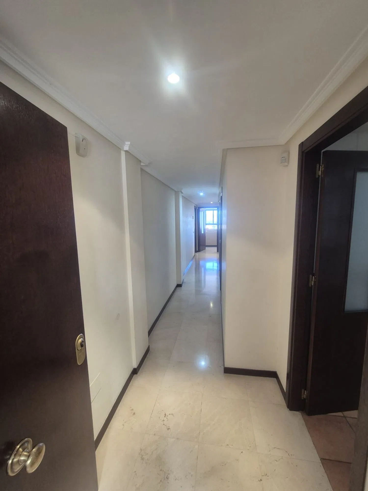 Piso en paseo del Portón s/n - Foto 10