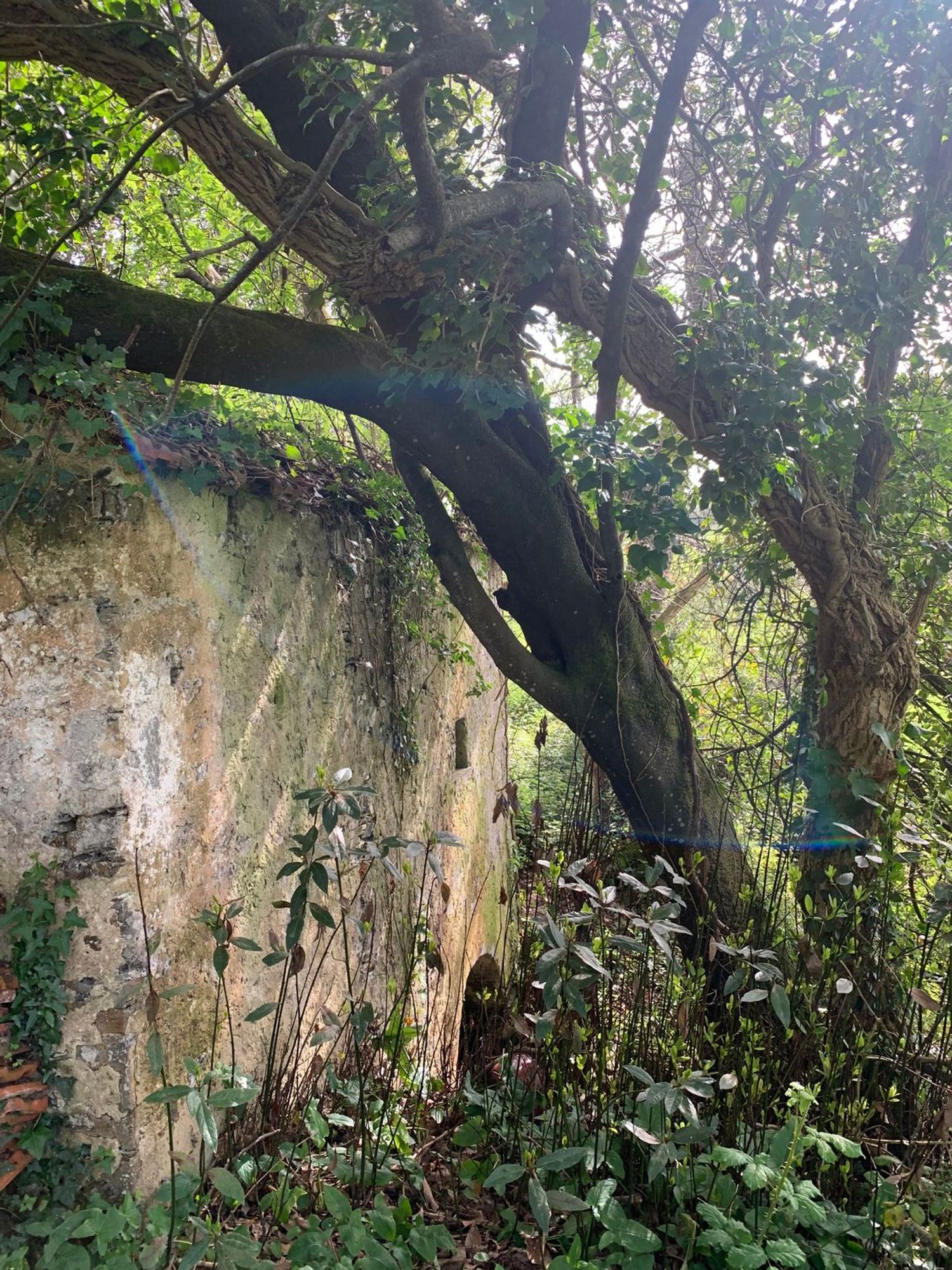 Casa rural en Caserio Calambre, 6 - Foto 6