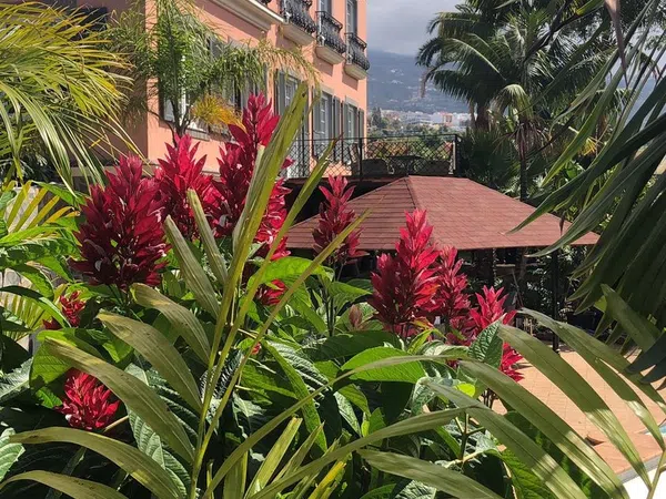 Palacio en Lugar el Rincon, 82 - Foto 3