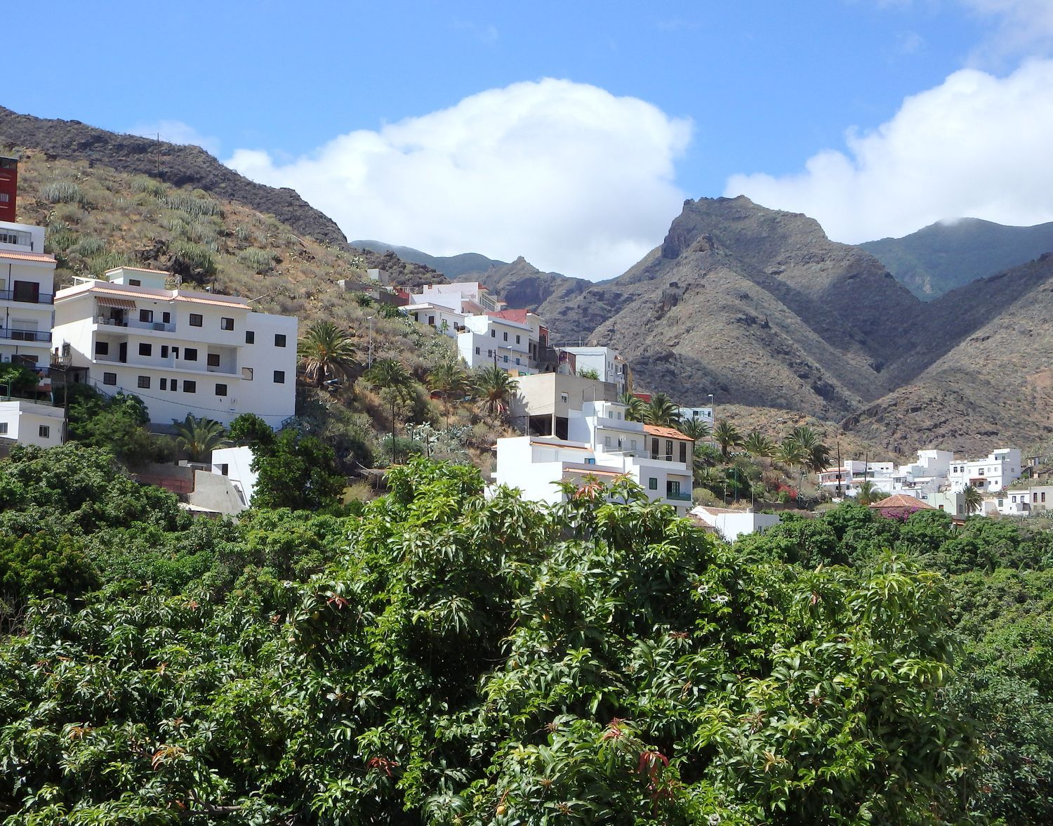 Casa independiente en paseo de la playa, 4 - Foto 25