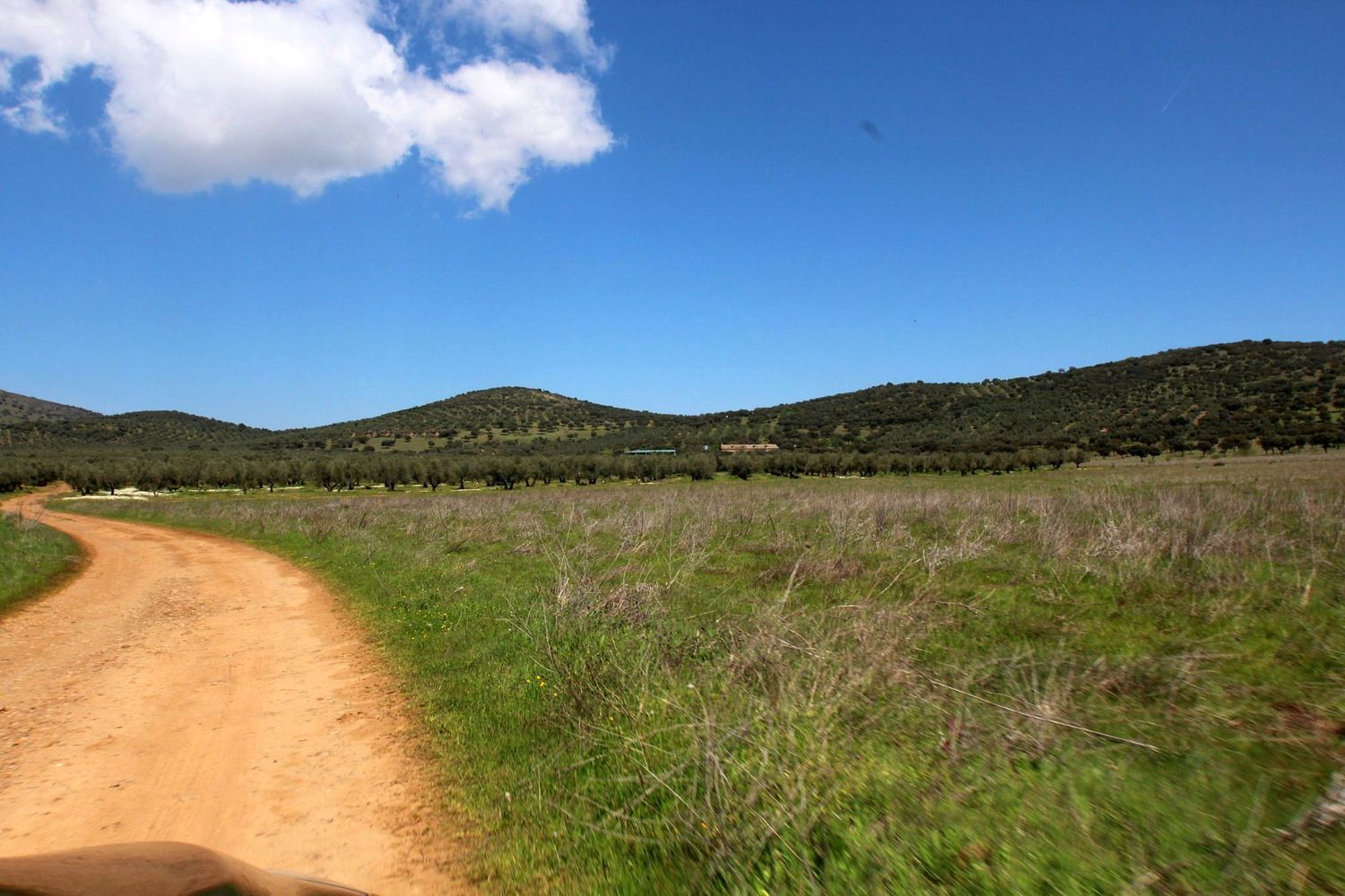 Cortijo en Cr-7021, 5 km - Foto 14
