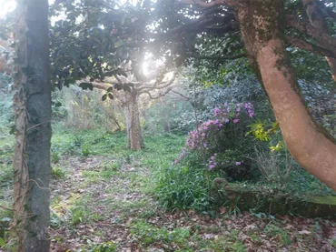 Chalet en Vilagarcía de Arousa - Foto 5