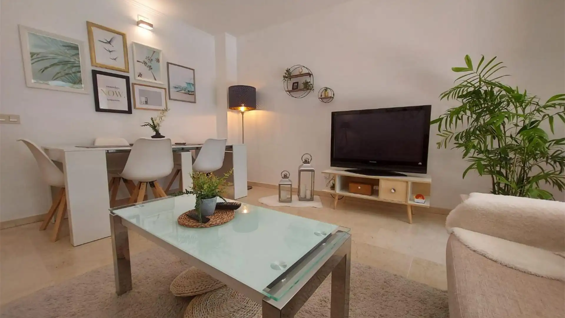 Planta baja en  Carrer del Mussol 21 - Foto 7