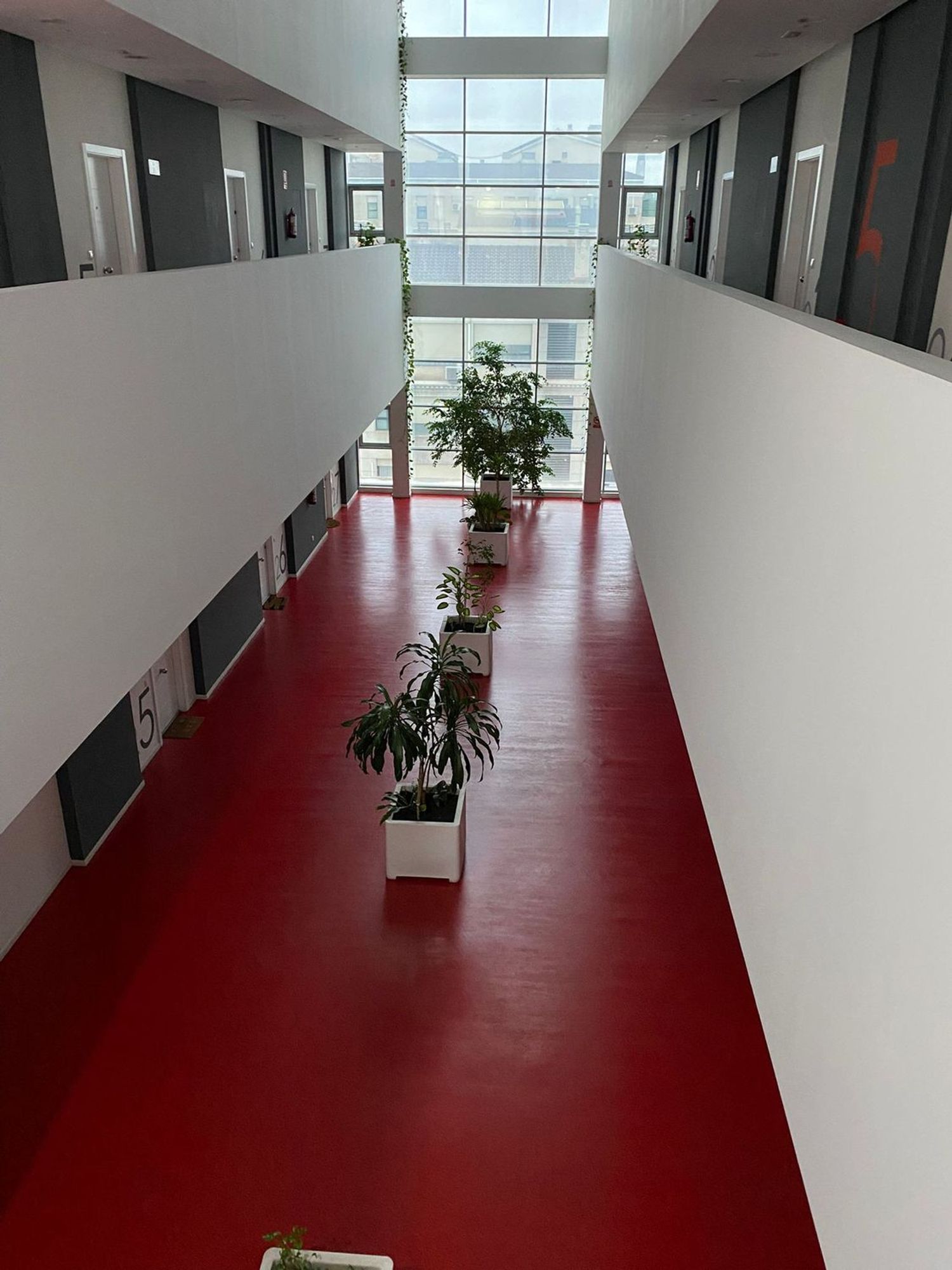 Estudio en plaza Centro, 3 - Foto 12