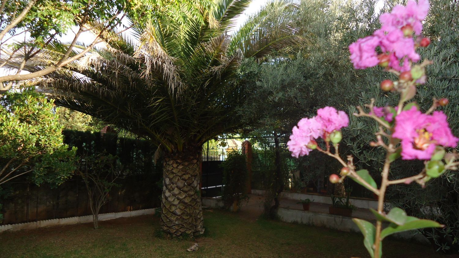 Casa independiente en avenida Paraiso, 18 - Foto 12