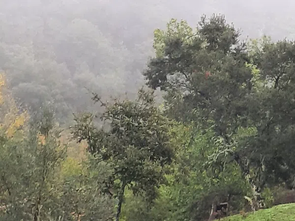 Finca rústica en Carretera La Corte S/n, 17 - Foto 5