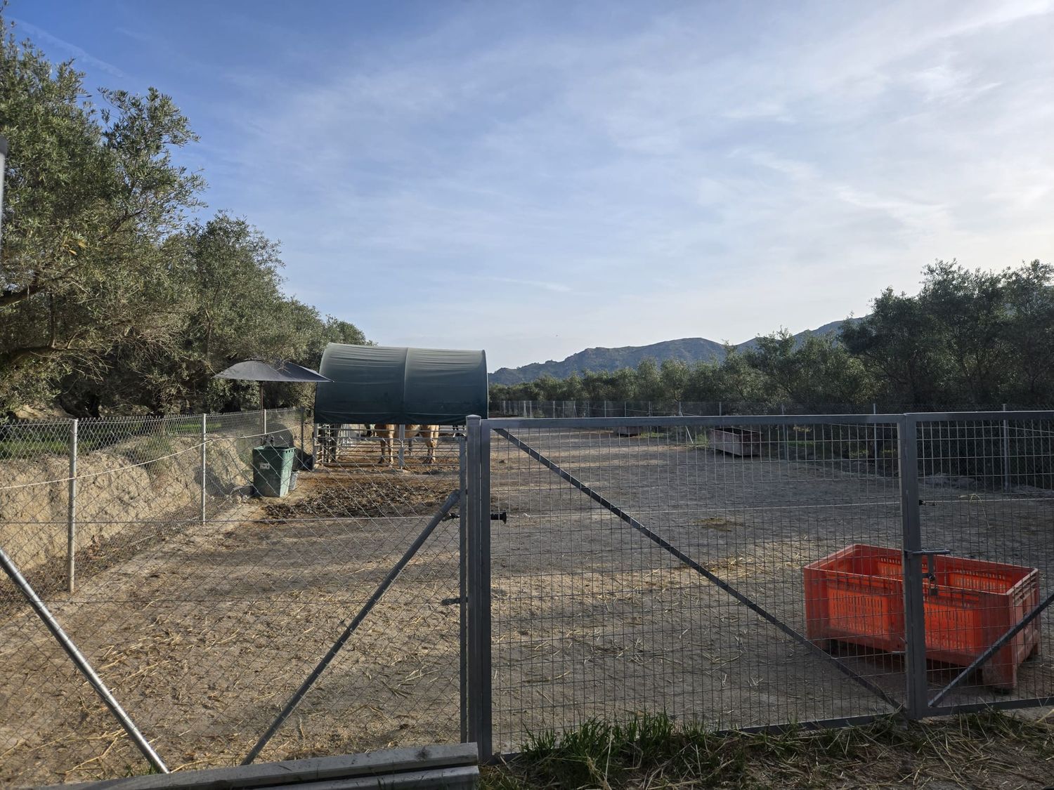 Casa rural en Cortijo de los Panes, 314 - Foto 4