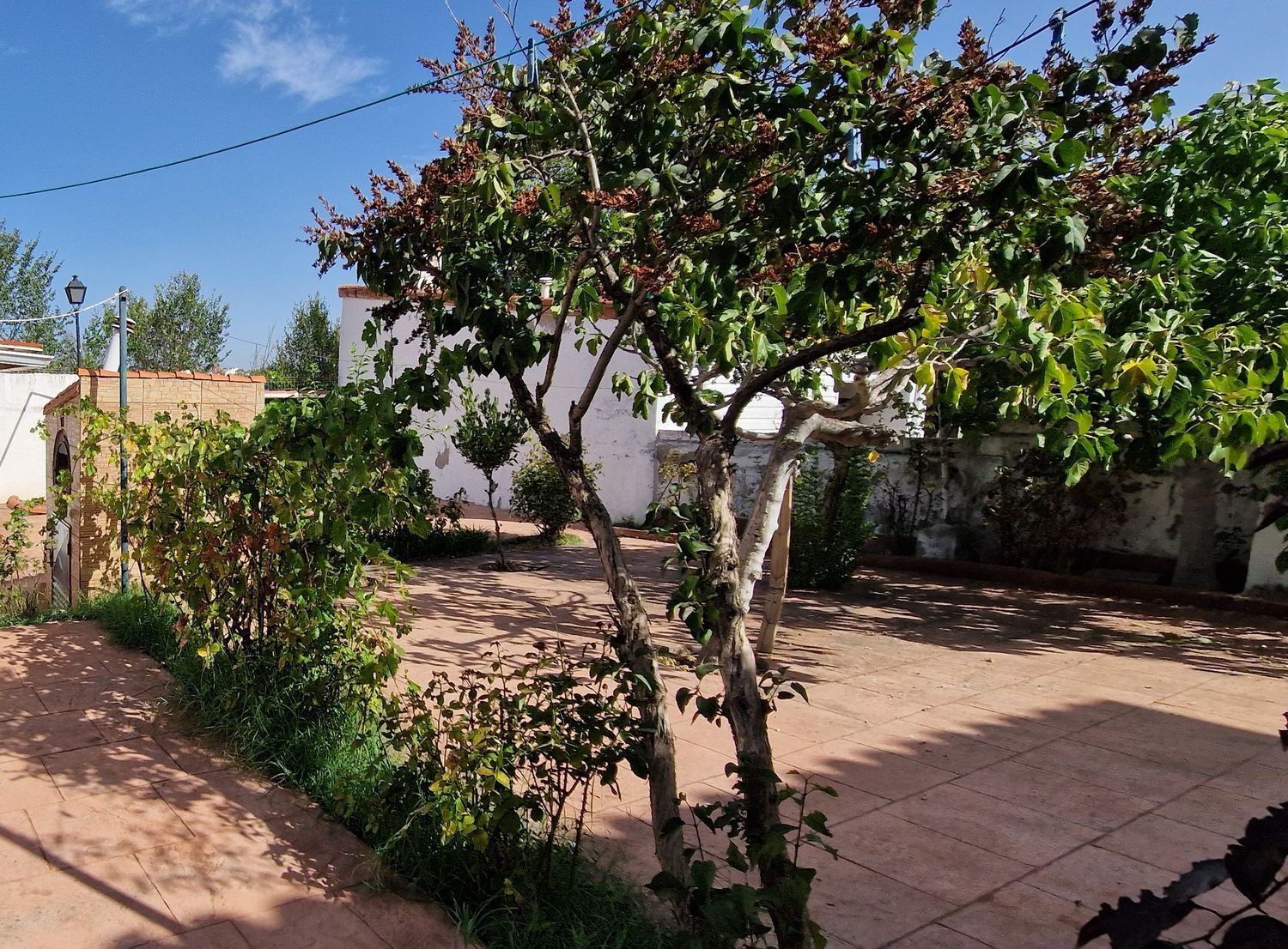 Chalet pareado en Prado de Somosaguas, Prado de Somosaguas - Foto 5