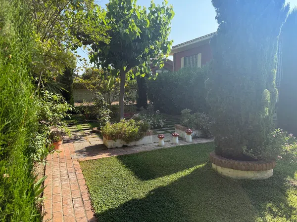 Casa o chalet independiente en Calle del Molino, 2 - Foto 35