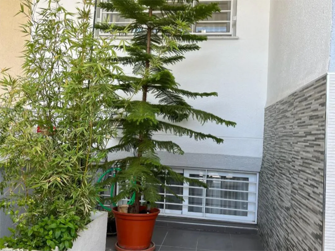 Casa adosada en  Calle Ávila 13 - Foto 15