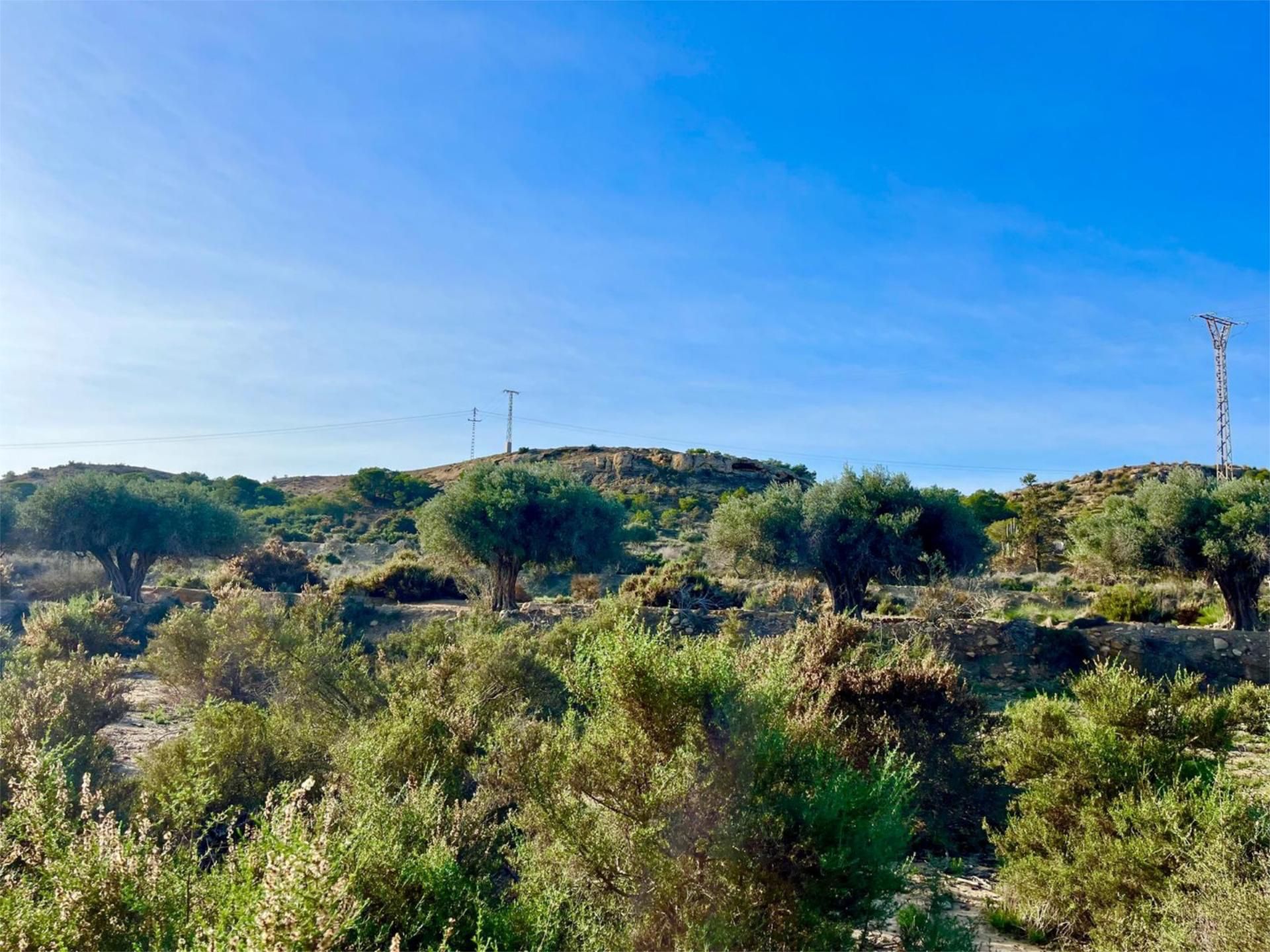 Finca rústica en  Camino Viejo de Saladas 10 - Foto 20