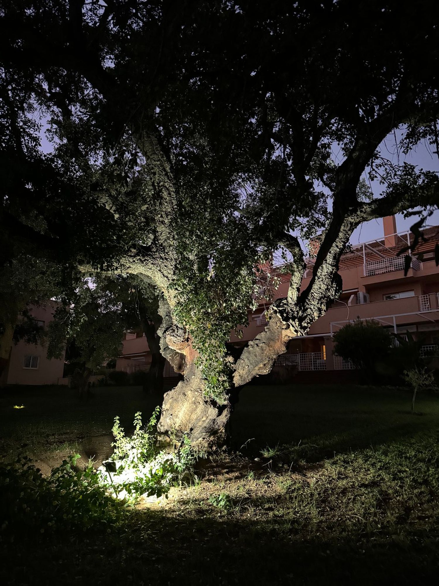 Ático en Calle Olmo, 4 - Foto 6