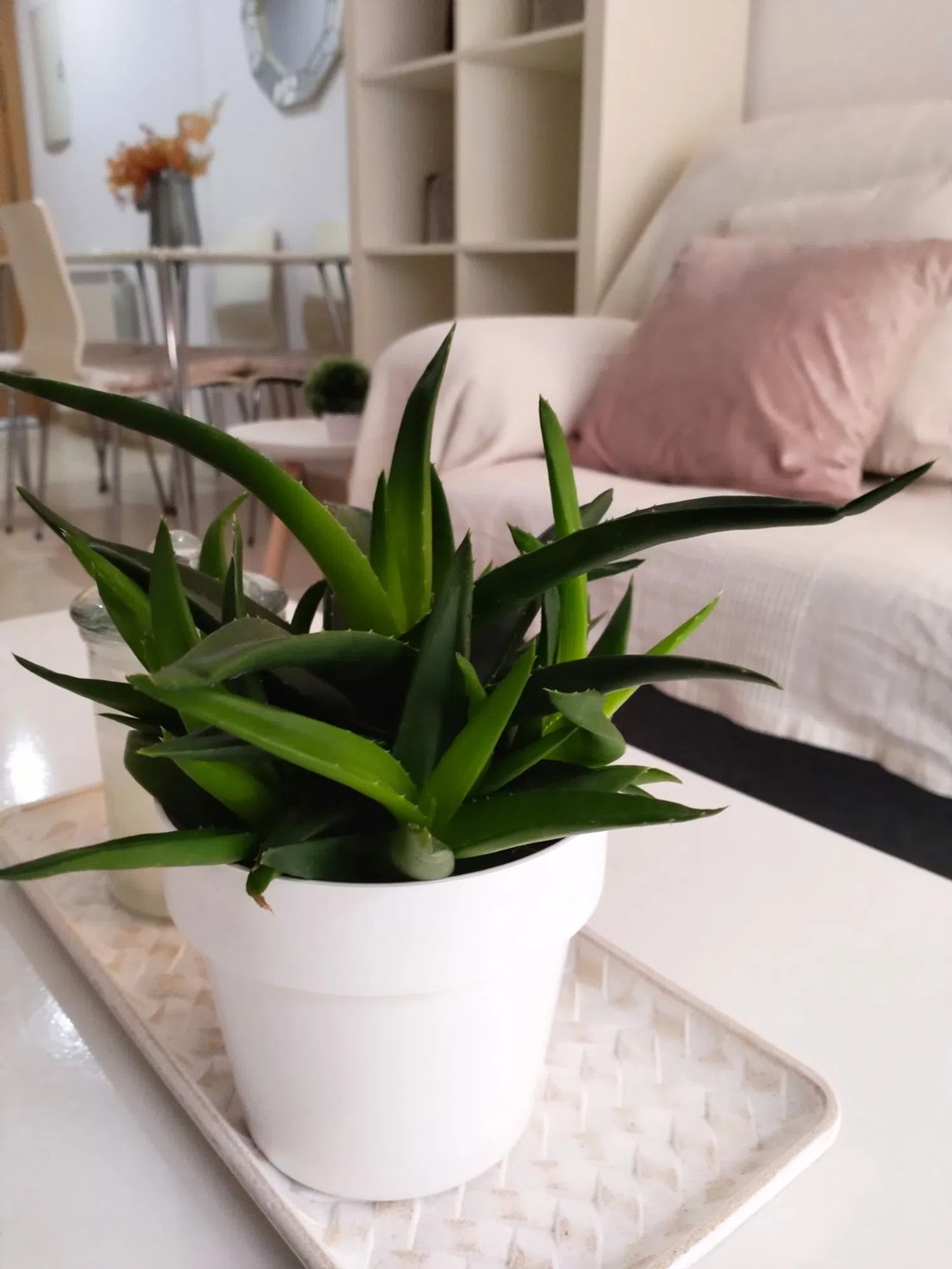 Piso en calle de Balsareny, 1 - Foto 11