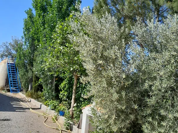 Casa o chalet independiente en Camino de Valdezarza a lo s/n - Foto 36