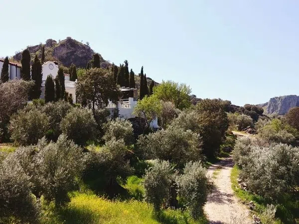 Casa rural en Carretera de Granada, 1 - Foto 10