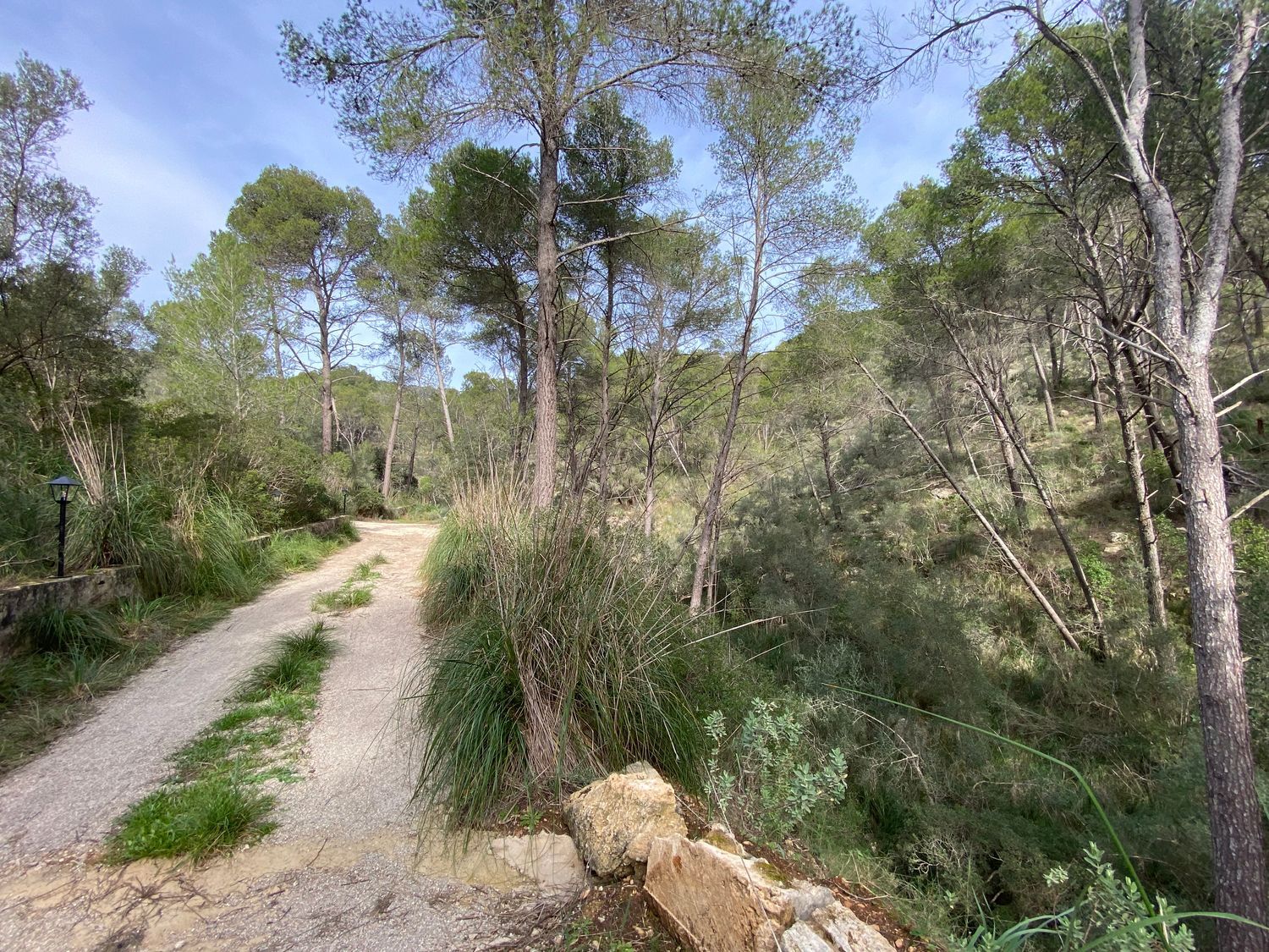 Finca rústica en camino de Cás Calixto s/n Sn - Foto 28