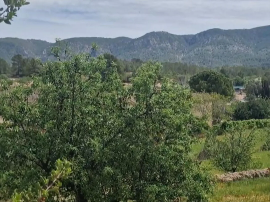 Piso en  Carrer Cortons 22 - Foto 5