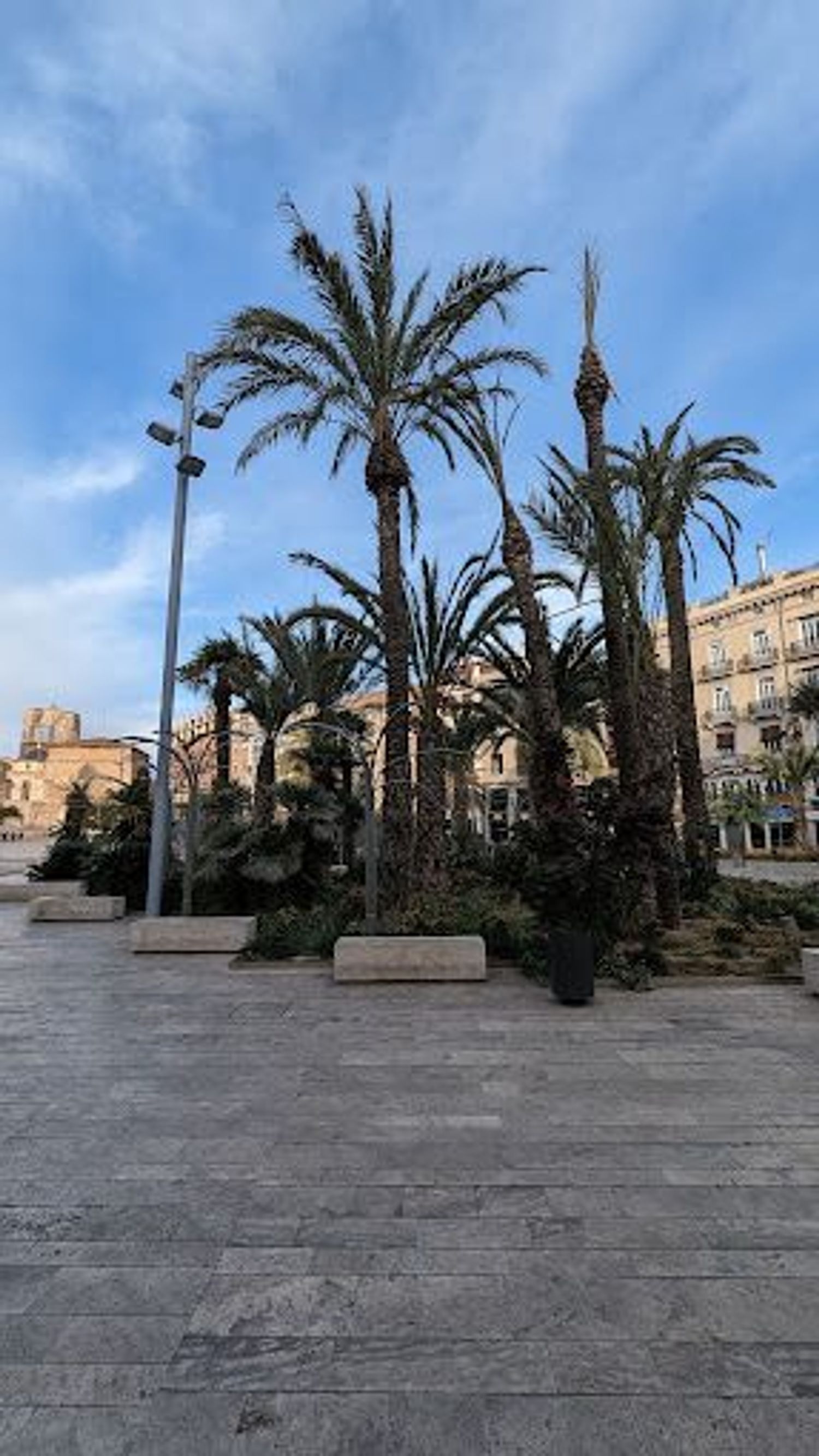Piso en Calle del Mar, La Xerea - Foto 57