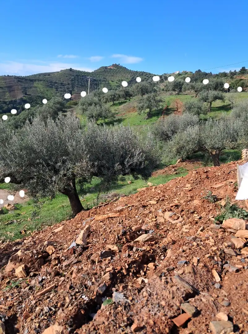 Finca rústica en  Diseminado el Cerval Pol 15 34B - Foto 9
