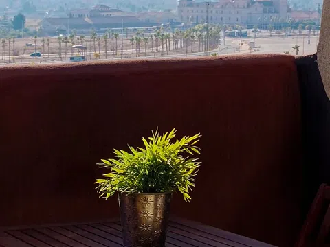 Estudio en calle los Rosaos, 2 - Foto 7