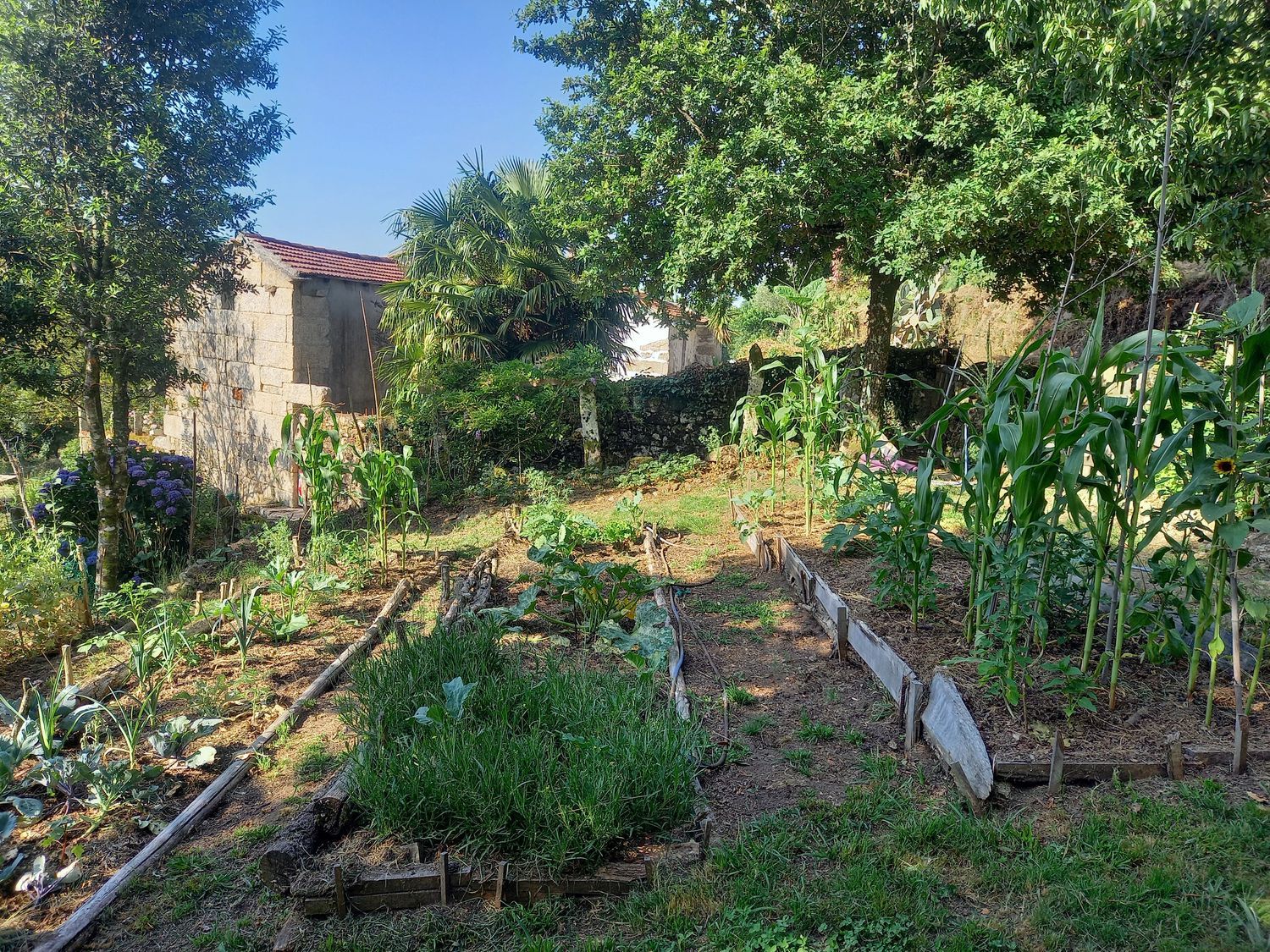 Casa rural en Lugar Carrizans-Escuadra, 17 - Foto 27