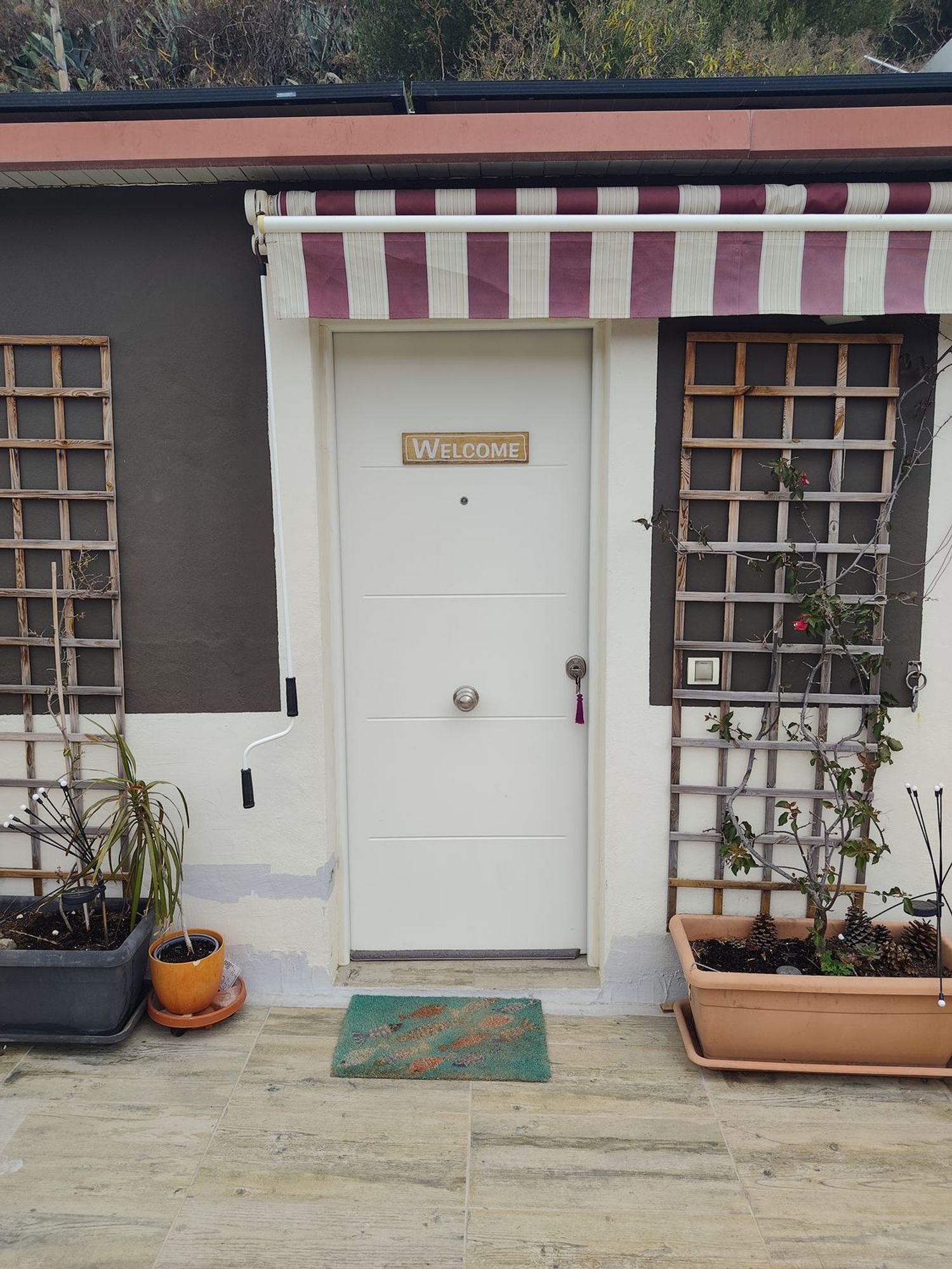 Estudio en Carretera la Angostura, 401, La Angostura - Los Olivos, La Angostura - Los Olivos - Foto 2