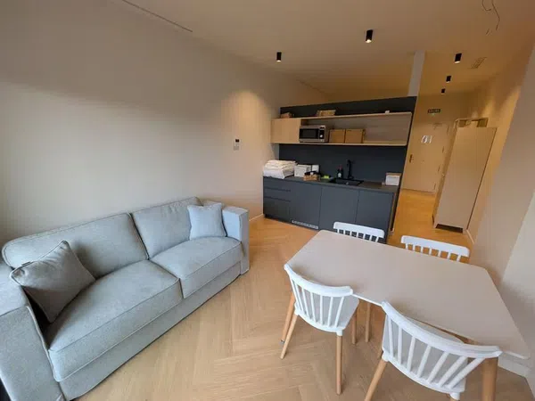 Estudio en calle Río Alzania, 18 a