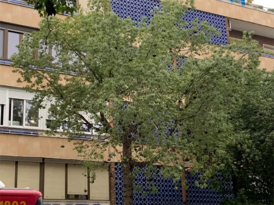 Piso en  Calle Felipe II 17 - Foto 4