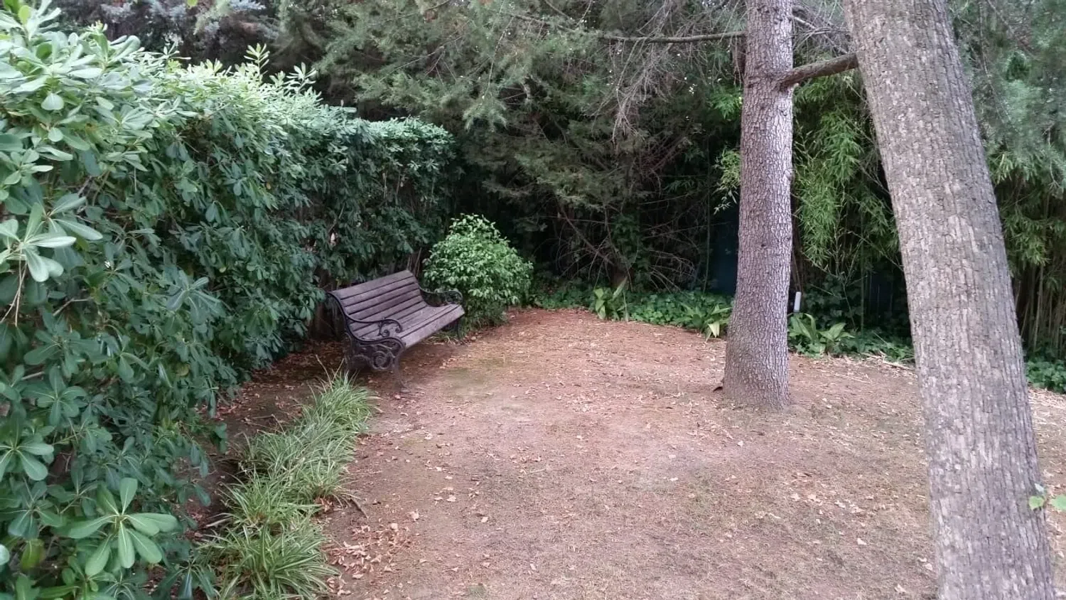 Piso en Eixample - Foto 6