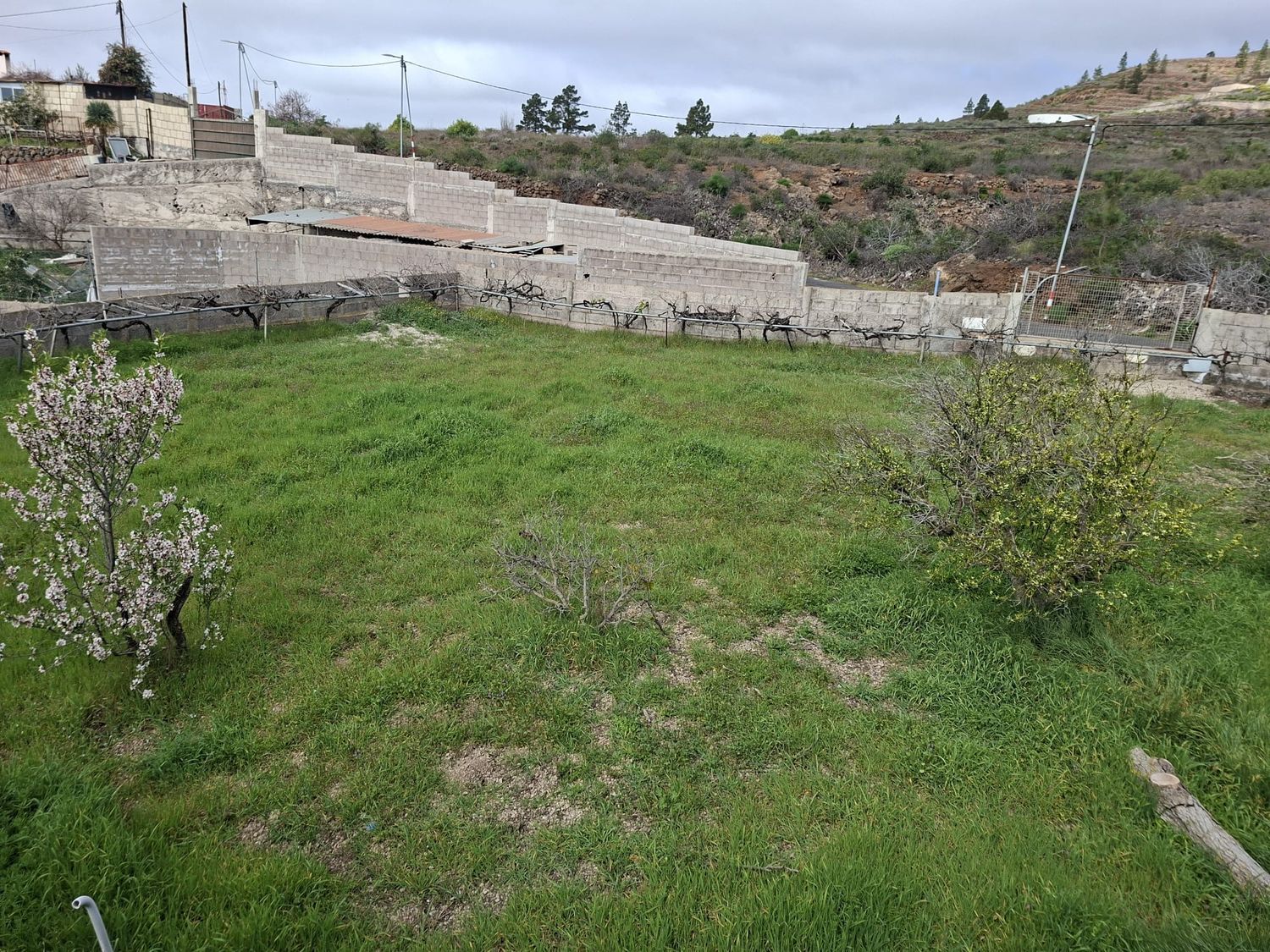 Casa terrera en Calle el Charco Frío, 7 - Foto 3
