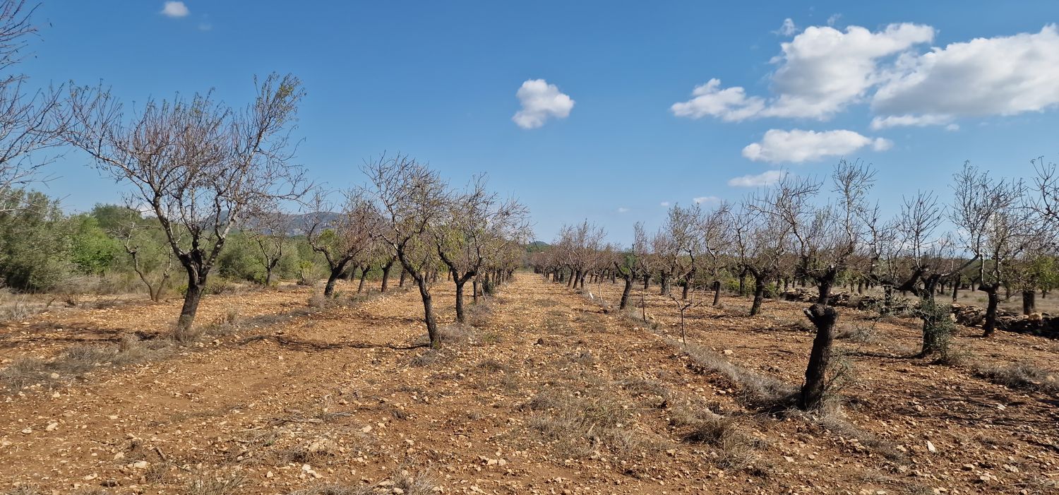 Finca rústica en Via Sense Nom s/n - Foto 26