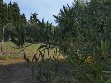 Finca rústica en  Carretera Córdoba - Málaga S-N - Foto 2