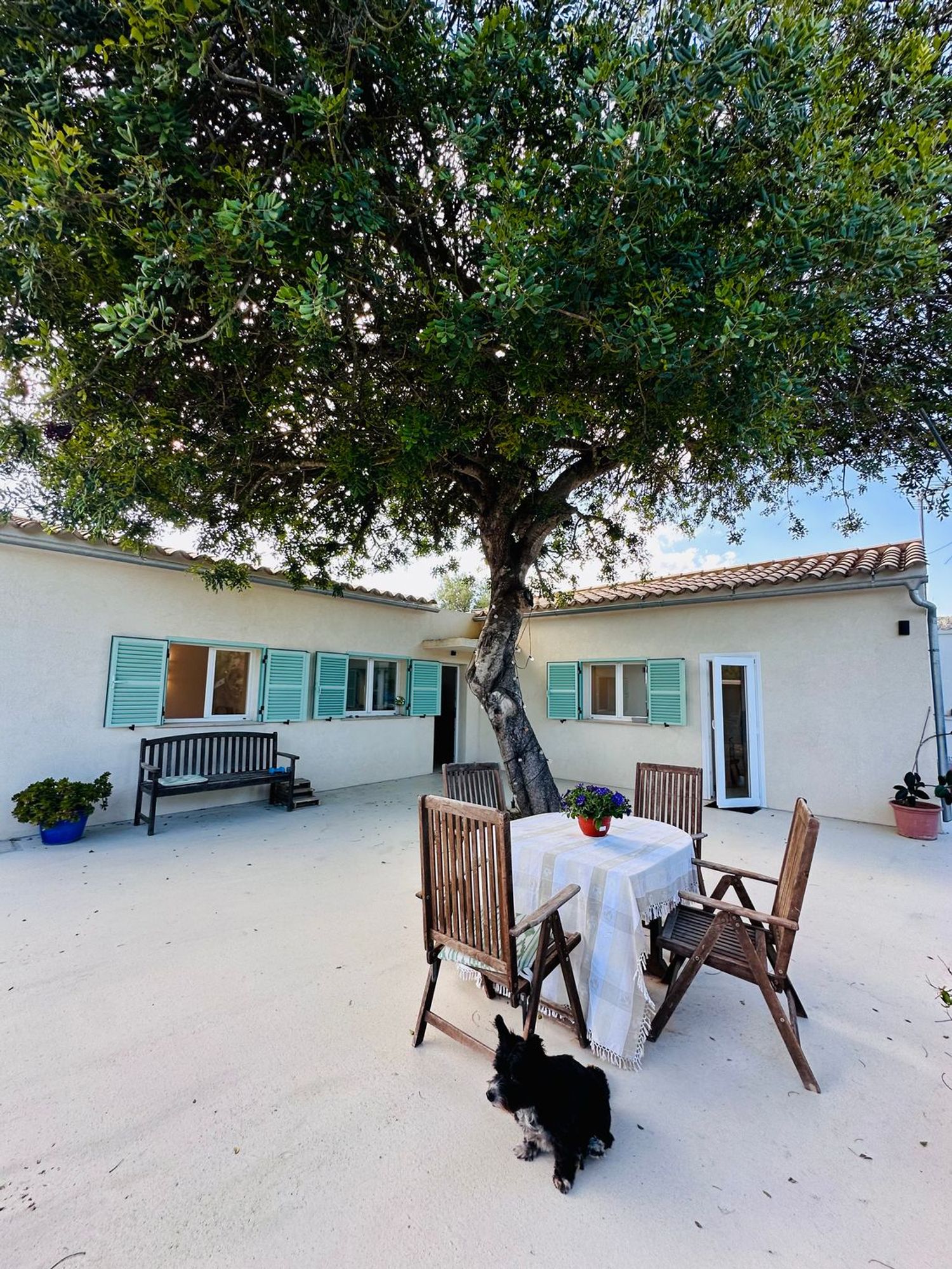 Finca rústica en Lugar Poligono 11, 639 - Foto 12