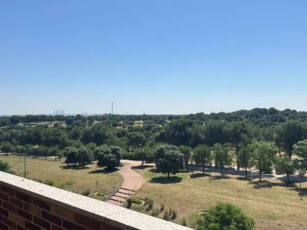 Dúplex en Zona Monte el Pilar - Foto 13