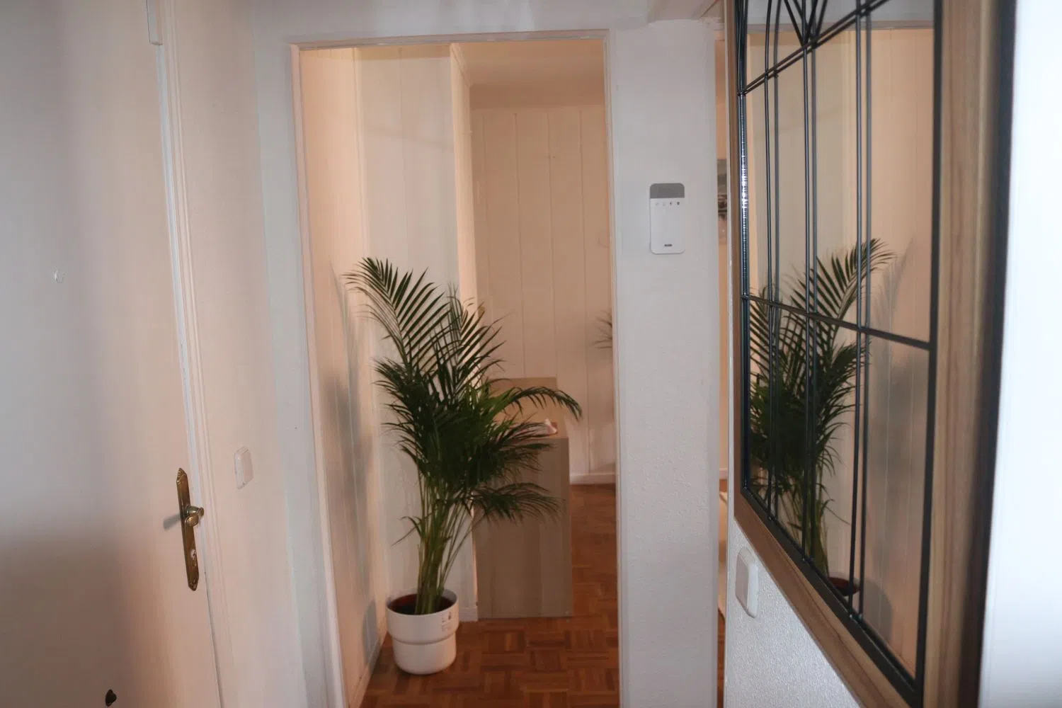 Piso en calle de la Palmera, 2 - Foto 4