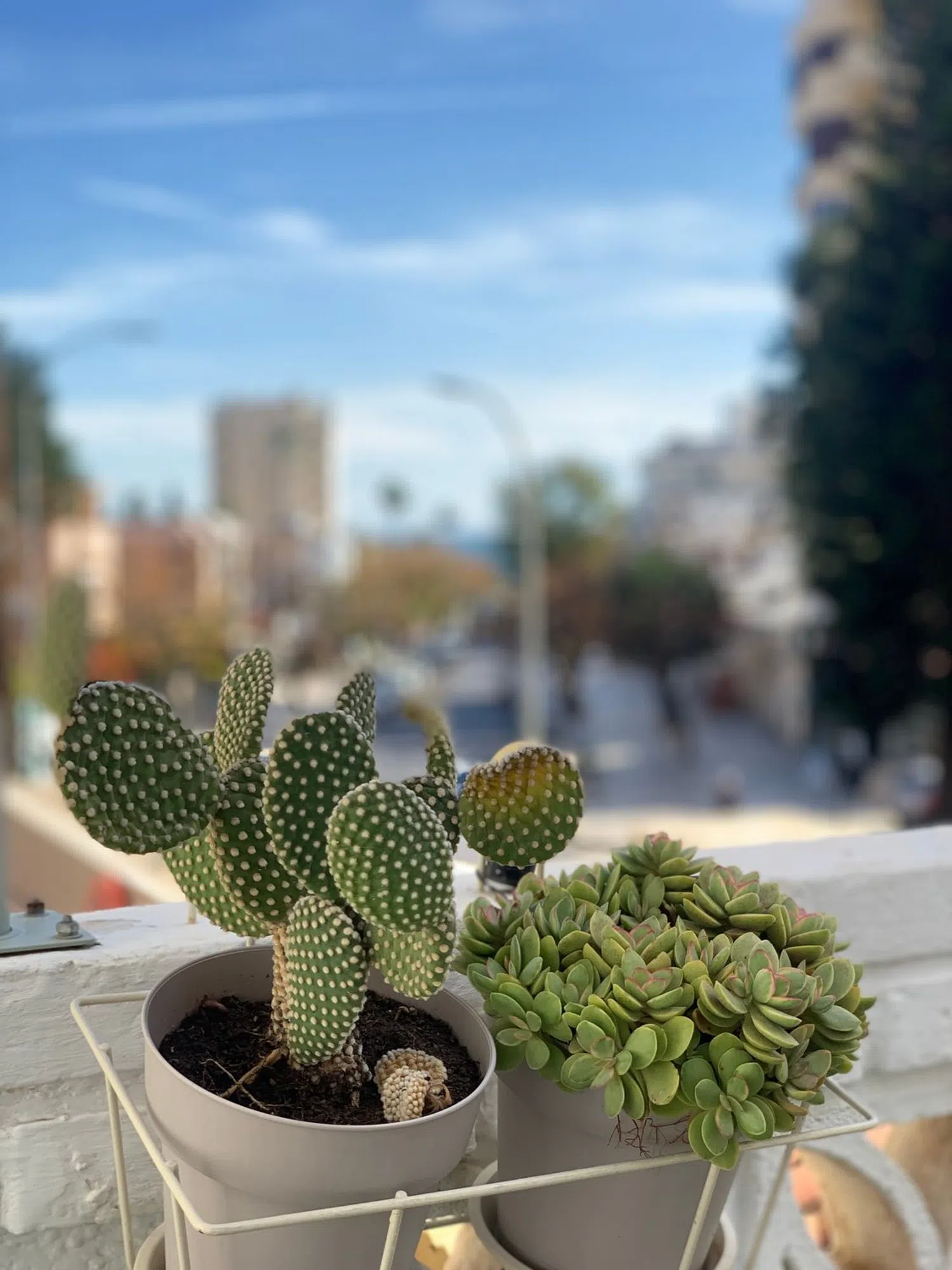 Piso en paseo del Pan Triste, 3 - Foto 3