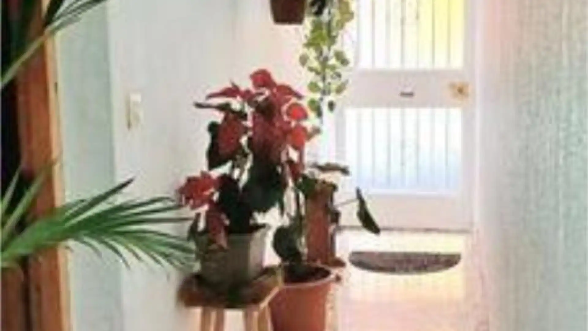 Piso en El Sobradillo - Foto 6