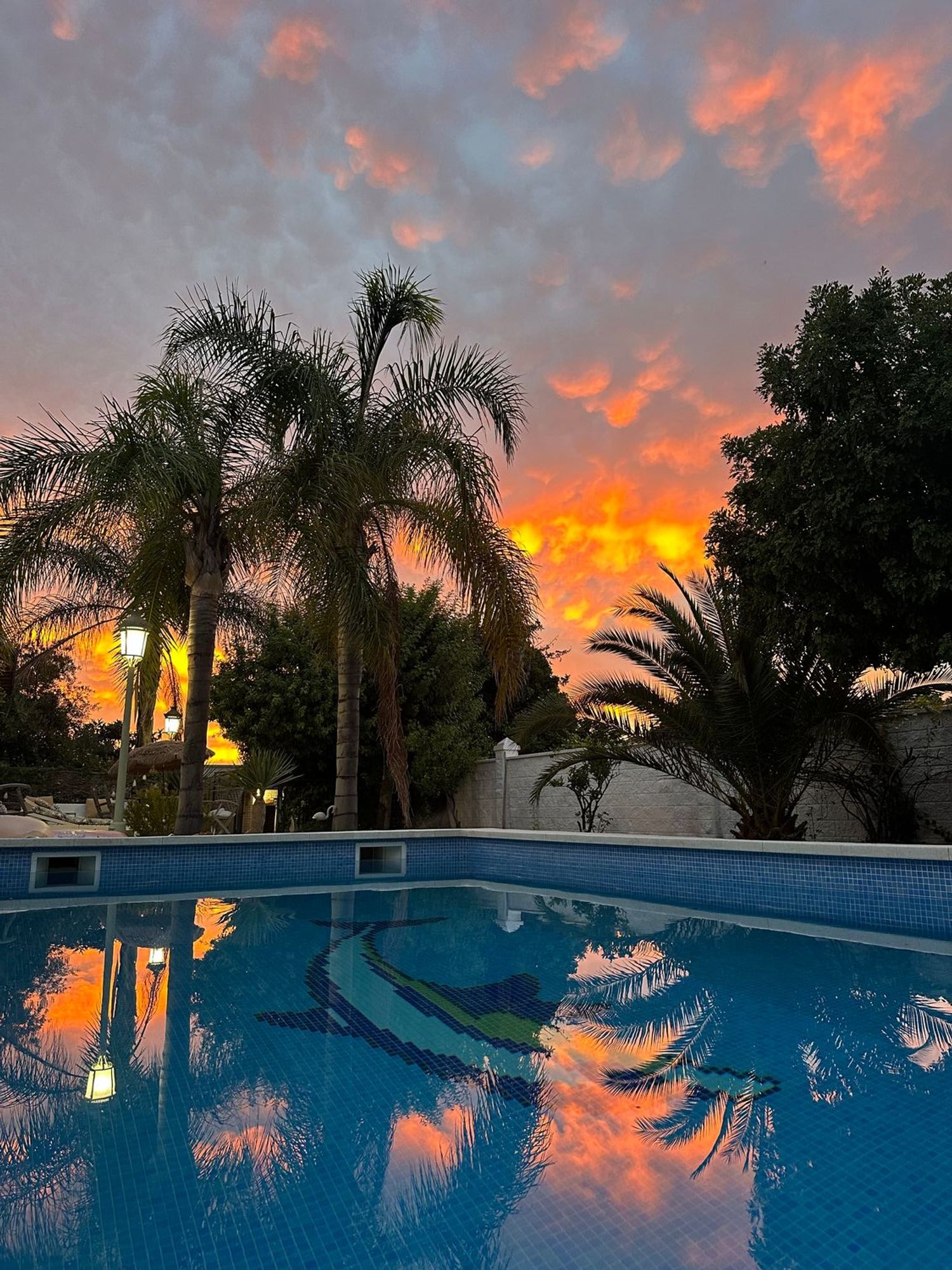 Casa o chalet independiente en Avenida de Miguel Lacha Reina, 1, Pinos de Alhaurín, Pinos de Alhaurín - Foto 4